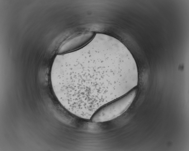 X0000115690264200912241508