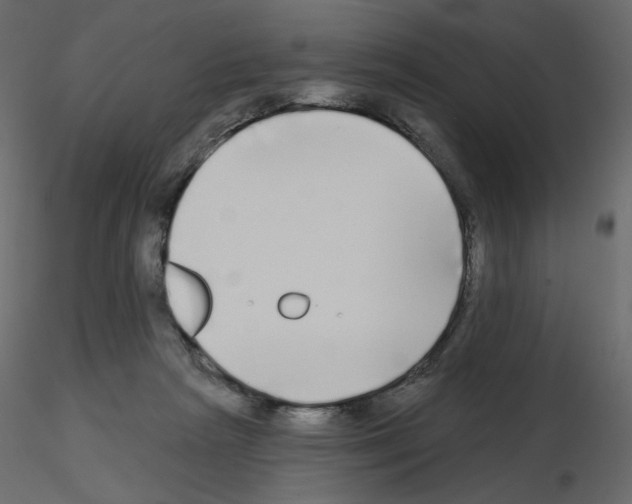 X0000115690265200912241508