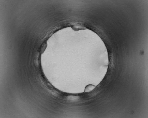 X0000115690266200912241508