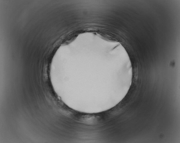 X0000115690267200912241508