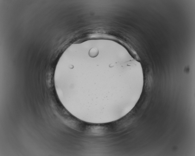 X0000115690268200912241508
