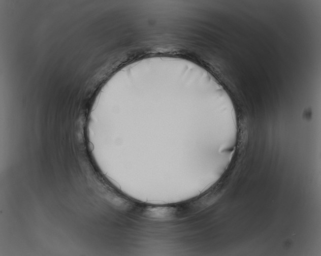 X0000115690269200912241508