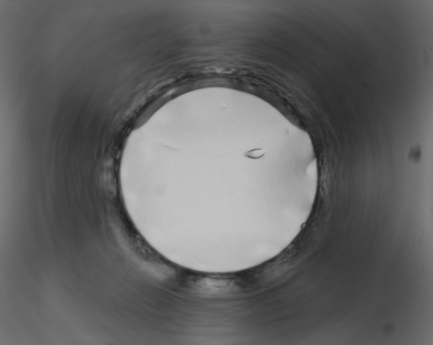 X0000115690270200912241508