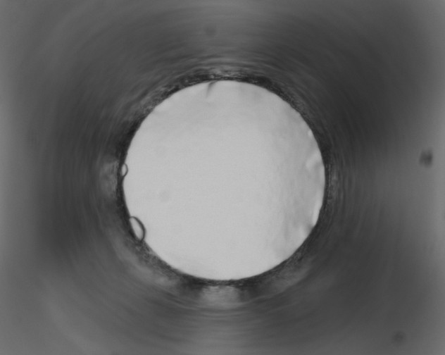 X0000115690271200912241508