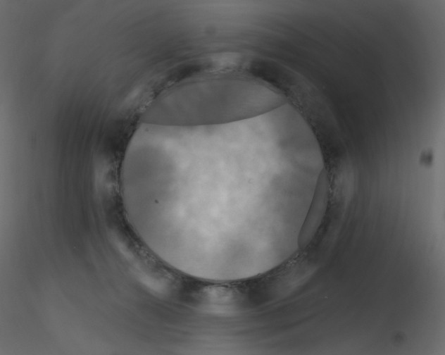 X0000115690272200912241508