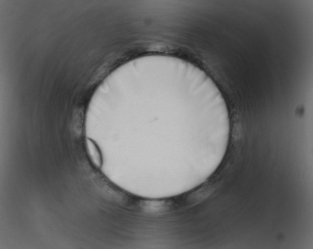 X0000115690273200912241508