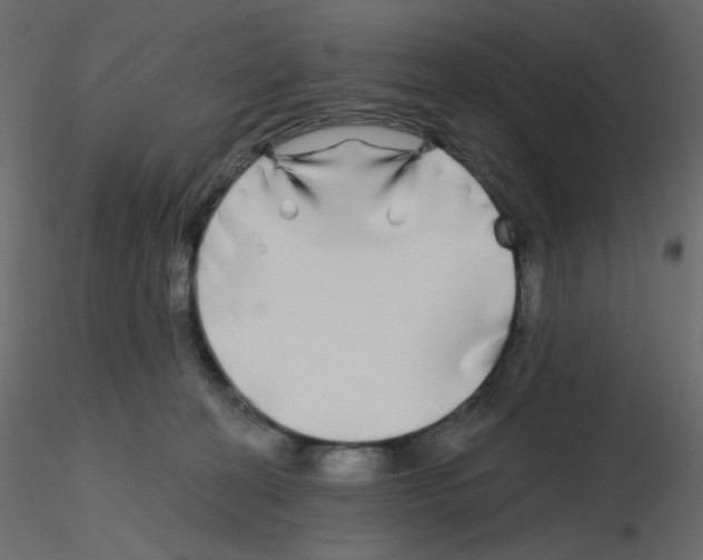 X0000115690274200912241508