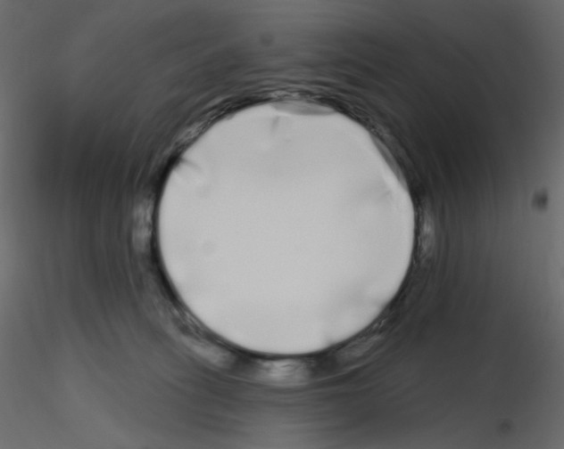 X0000115690275200912241508
