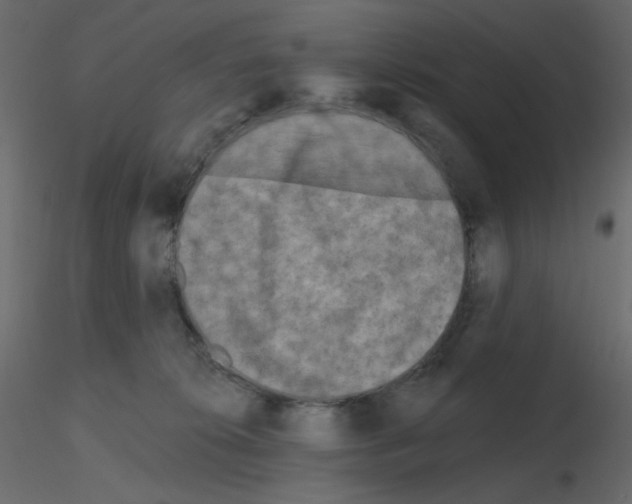 X0000115690276200912241508