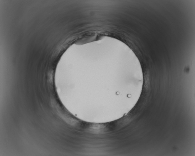 X0000115690278200912241508