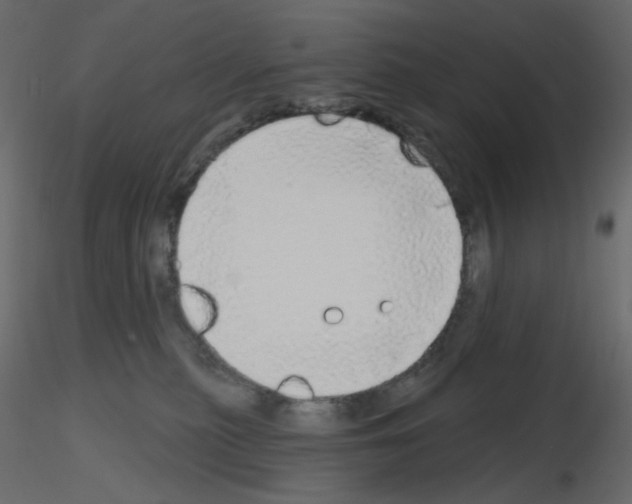 X0000115690279200912241508