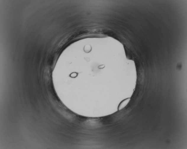 X0000115690280200912241508
