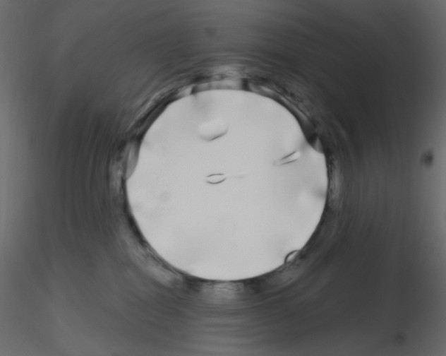 X0000115690282200912241508