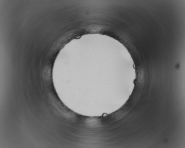 X0000115690283200912241508