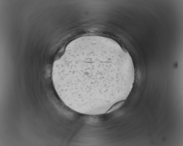 X0000115690284200912241508