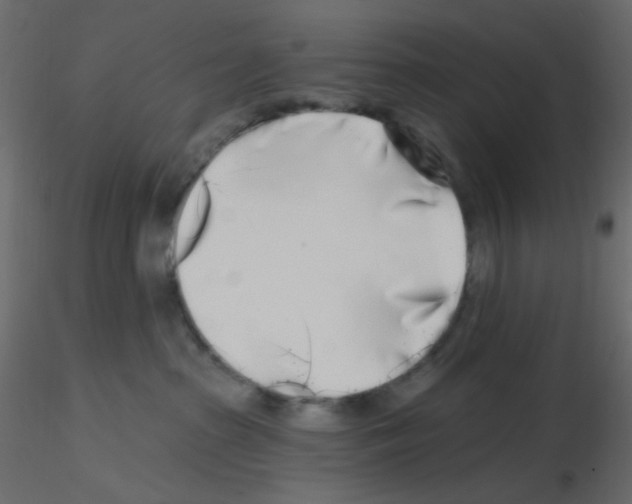 X0000115690285200912241508