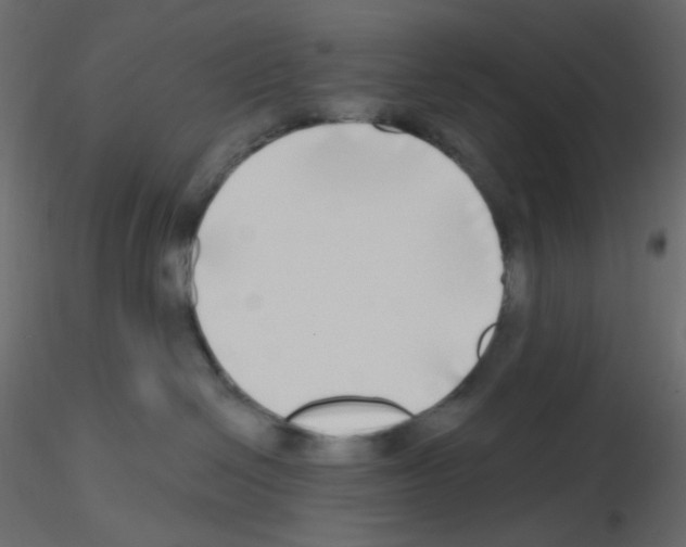 X0000115690286200912241508