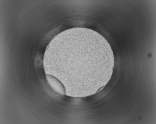 X0000115690287200912241508