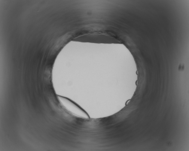 X0000115690288200912241508