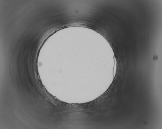 X0000115690289200912241507