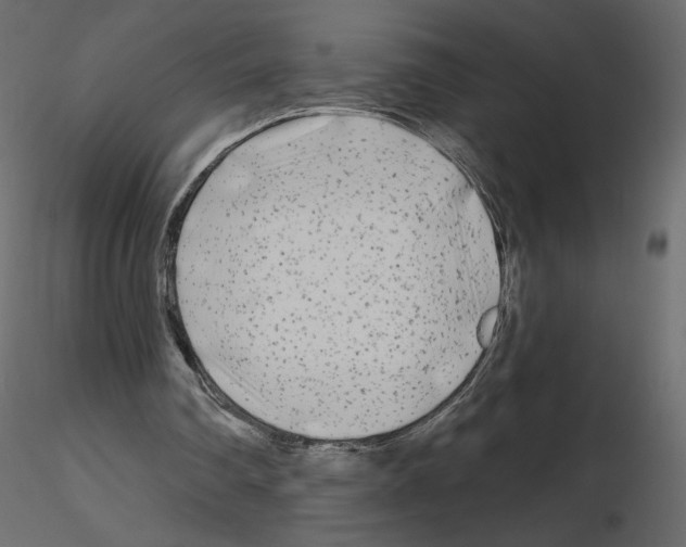 X0000115690290200912241507