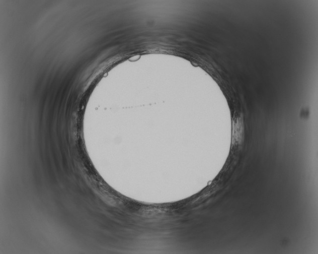 X0000115690291200912241507