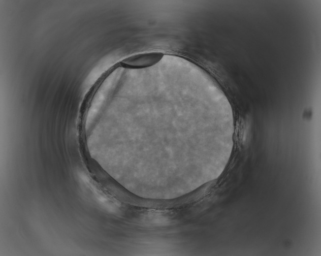 X0000115690292200912241507