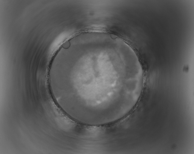X0000115690293200912241507