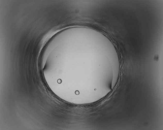 X0000115690294200912241507
