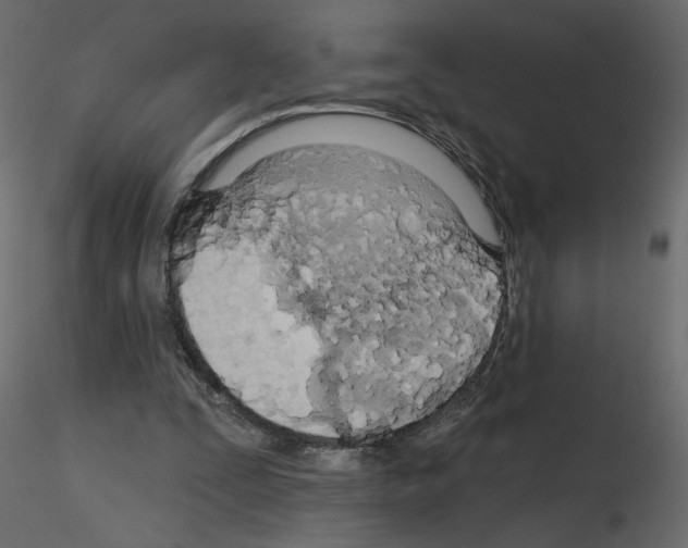 X0000115690295200912241507