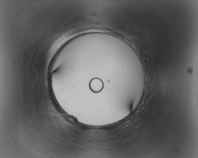 X0000115690296200912241507