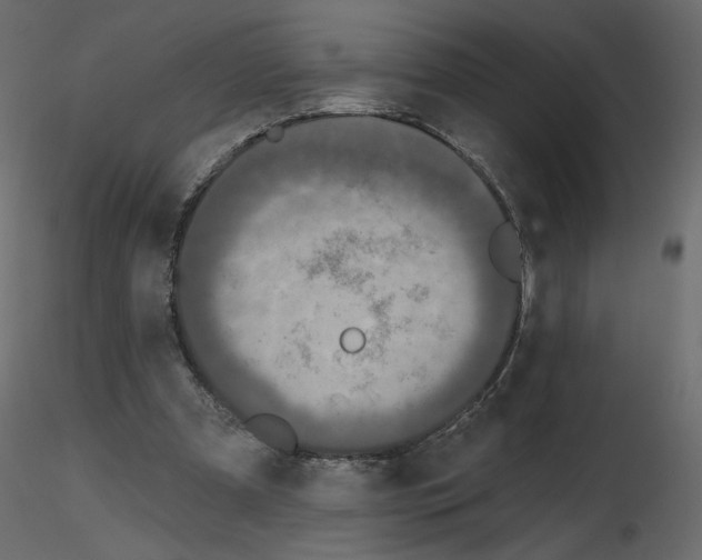 X0000115690297200912241507