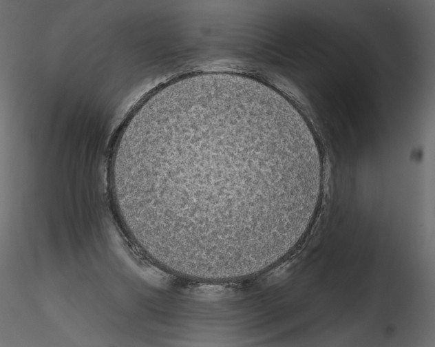 X0000115690298200912241507