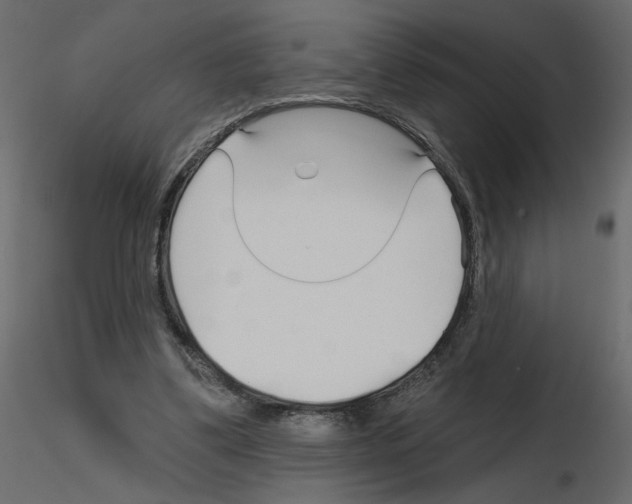 X0000115690299200912241507