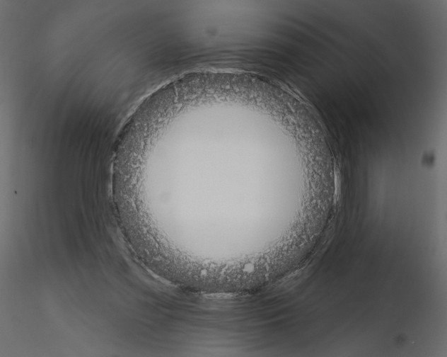 X0000115690301200912241507