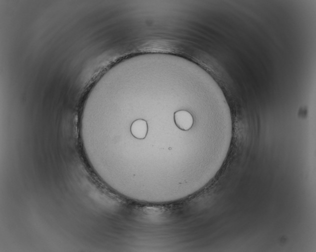 X0000115690302200912241507