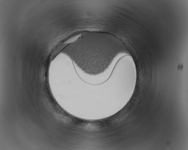 X0000115690303200912241507
