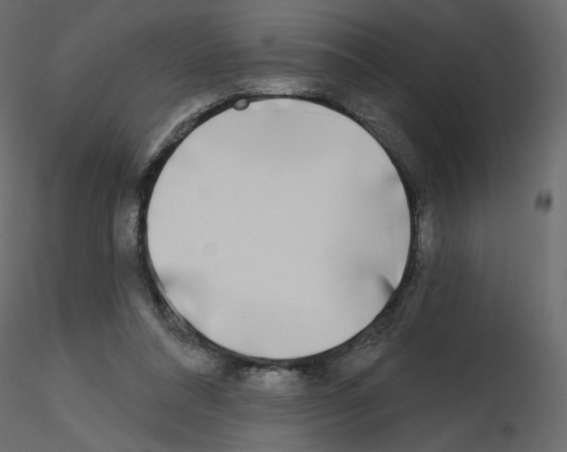 X0000115690304200912241507