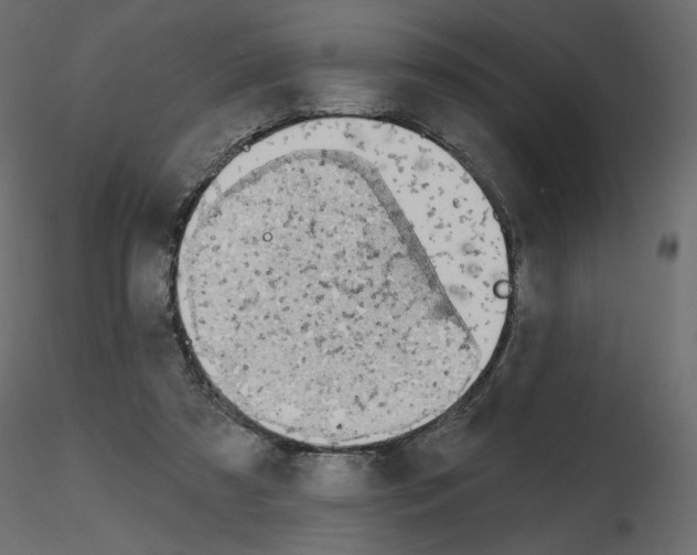 X0000115690305200912241507