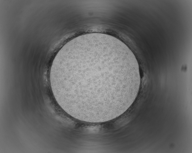 X0000115690306200912241507