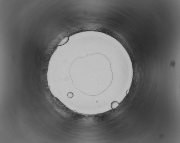 X0000115690307200912241507