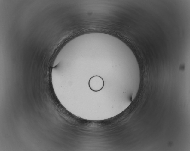 X0000115690308200912241507