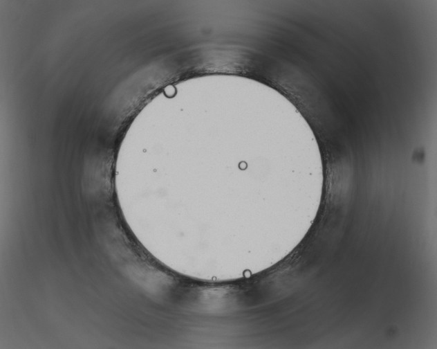 X0000115690309200912241507