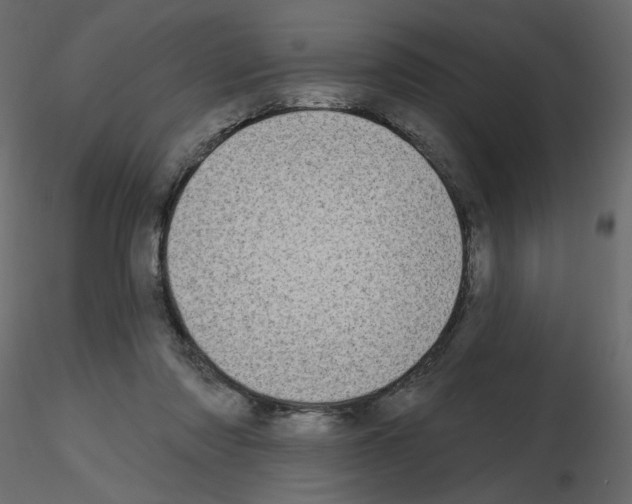 X0000115690310200912241507