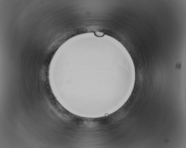 X0000115690311200912241507