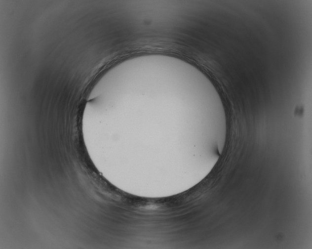 X0000115690312200912241507