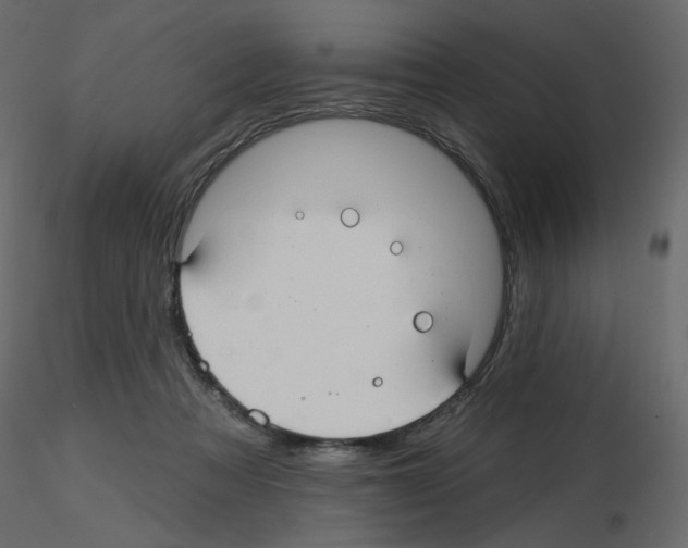X0000115690313200912241507