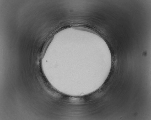X0000115690315200912241507