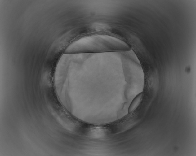 X0000115690316200912241507