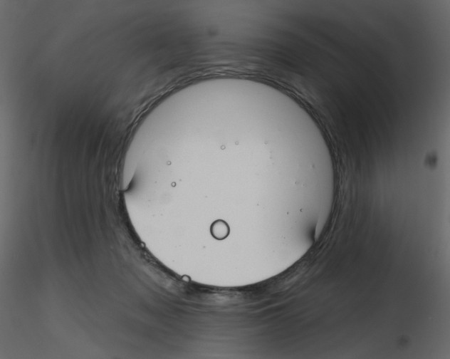 X0000115690317200912241507